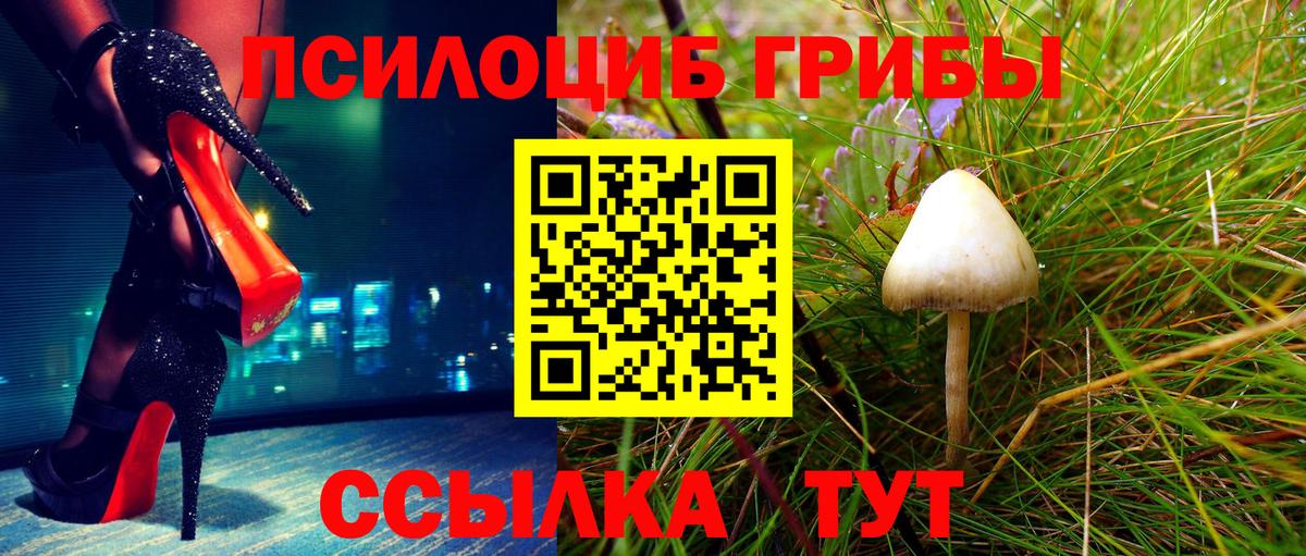 Лесной  Псилоцибиновые грибы Magic Shrooms  Вход с VPN 