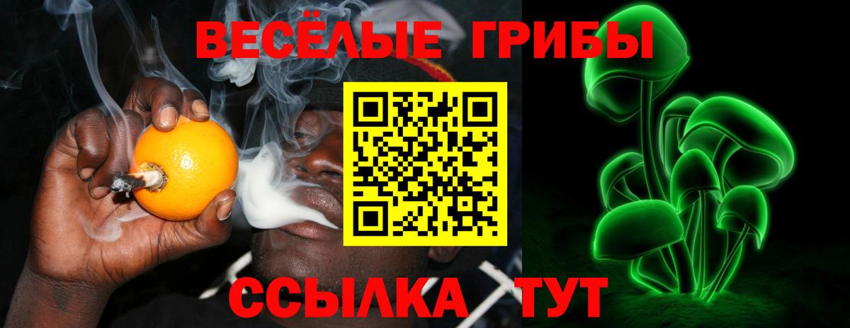 Псилоцибиновые грибы мицелий Лесной